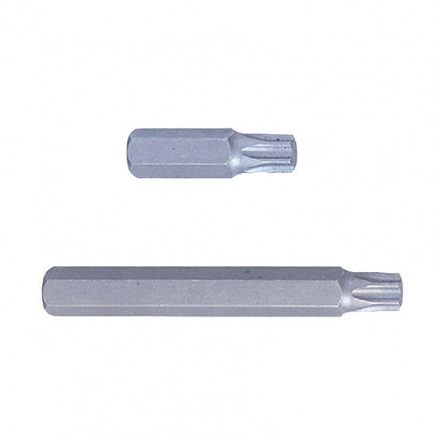 Бита торцевая 10мм TORX T40 с отверстием L=80мм (уп.6)
